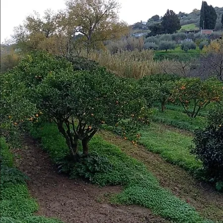 Casa Gelferraro Holiday home Calatafimi